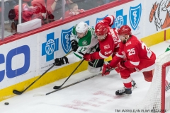 Red Wings vs Dallas Stars Jan 16 2018 (24)