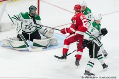 Red Wings vs Dallas Stars Jan 16 2018 (25)
