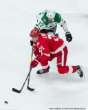 Red Wings vs Dallas Stars Jan 16 2018 (4)
