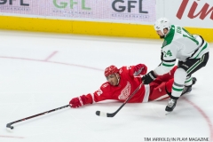 Red Wings vs Dallas Stars Jan 16 2018 (5)