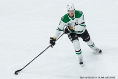 Red Wings vs Dallas Stars Jan 16 2018 (7)