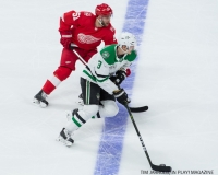 Red Wings vs Dallas Stars Jan 16 2018 (8)