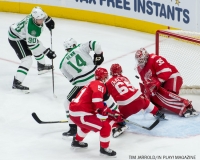 Red Wings vs Dallas Stars Jan 16 2018 (9)