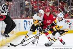 Pittsburgh-Penguins-at-Detroit-Red-Wings-April-23-2022-48