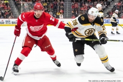 Boston-Bruins-at-Detroit-Red-Wings-April-5-2022-1