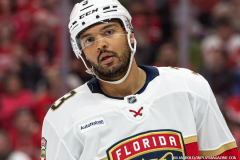 Detroit-Red-Wings-vs-Florida-Panthers-April-6-2025-In-Play-magazine-17