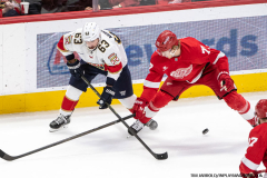 Detroit-Red-Wings-vs-Florida-Panthers-April-6-2025-In-Play-magazine-41
