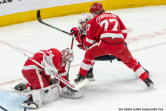 Washington-Capitals-at-Detroit-Red-Wings-April-9-2024-In-Play-magazine-10