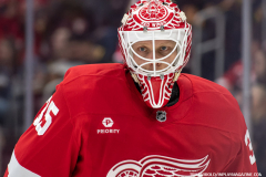 Detroit-Red-Wings-vs-Vancouver-Canucks-December-1-2024-In-Play-magazine-33