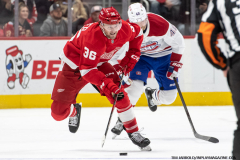 Detroit-Red-Wings-vs-Montreal-Canadiens-December-20-2024-In-Play-magazine-11