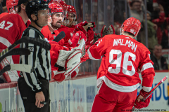 Detroit-Red-Wings-vs-Nashville-Predators-December-29-2023-In-Play-magazine-30