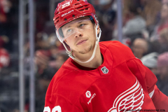Detroit-Red-Wings-vs.-Pittsburgh-Penguins-December-31-2024-In-Play-magazine-17