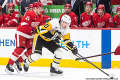 Detroit-Red-Wings-vs.-Pittsburgh-Penguins-December-31-2024-In-Play-magazine-55