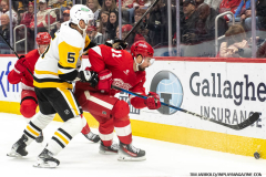Detroit-Red-Wings-vs.-Pittsburgh-Penguins-December-31-2024-In-Play-magazine-62