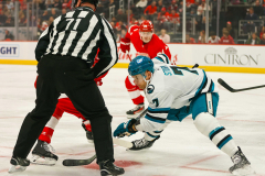 Detroit-Red-Wings-vs-San-Jose-Sharks-December-7-2023-In-Play-magazine-1