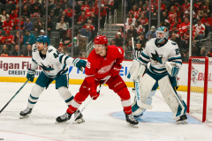 Detroit-Red-Wings-vs-San-Jose-Sharks-December-7-2023-In-Play-magazine-2
