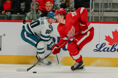 Detroit-Red-Wings-vs-San-Jose-Sharks-December-7-2023-In-Play-magazine-25