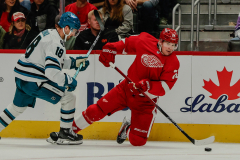 Detroit-Red-Wings-vs-San-Jose-Sharks-December-7-2023-In-Play-magazine-35