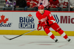 Detroit-Red-Wings-vs-San-Jose-Sharks-December-7-2023-In-Play-magazine-39