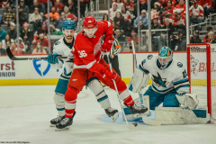 Detroit-Red-Wings-vs-San-Jose-Sharks-December-7-2023-In-Play-magazine-9