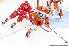 Detroit-Red-Wings-vs-Anaheim-Ducks-February-23-2025-In-Play-magazine-25