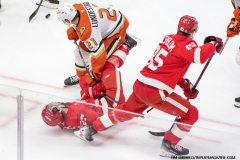 Detroit-Red-Wings-vs-Anaheim-Ducks-February-23-2025-In-Play-magazine-26