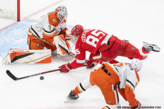 Detroit-Red-Wings-vs-Anaheim-Ducks-February-23-2025-In-Play-magazine-27