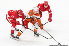 Detroit-Red-Wings-vs-Anaheim-Ducks-February-23-2025-In-Play-magazine-34