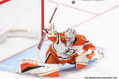 Detroit-Red-Wings-vs-Anaheim-Ducks-February-23-2025-In-Play-magazine-35