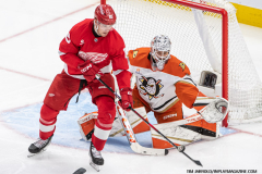 Detroit-Red-Wings-vs-Anaheim-Ducks-February-23-2025-In-Play-magazine-39