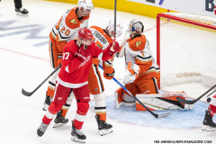 Detroit-Red-Wings-vs-Anaheim-Ducks-February-23-2025-In-Play-magazine-40