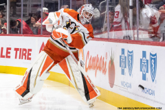 Detroit-Red-Wings-vs-Anaheim-Ducks-February-23-2025-In-Play-magazine-5