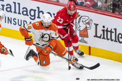 Detroit-Red-Wings-vs-Anaheim-Ducks-February-23-2025-In-Play-magazine-51