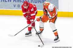 Detroit-Red-Wings-vs-Anaheim-Ducks-February-23-2025-In-Play-magazine-59