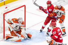 Detroit-Red-Wings-vs-Anaheim-Ducks-February-23-2025-In-Play-magazine-61