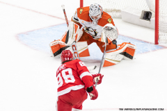 Detroit-Red-Wings-vs-Anaheim-Ducks-February-23-2025-In-Play-magazine-69