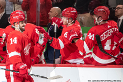 Detroit-Red-Wings-vs-St.-Louis-Blues-February-24-2024-In-Play-magazinejpg-10