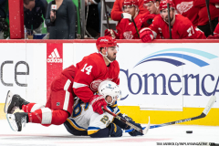 Detroit-Red-Wings-vs-St.-Louis-Blues-February-24-2024-In-Play-magazinejpg-16