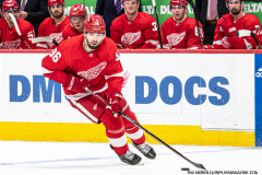 Detroit-Red-Wings-vs-St.-Louis-Blues-February-24-2024-In-Play-magazinejpg-33