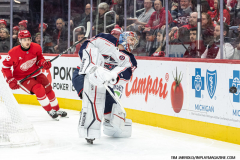 Detroit-Red-Wings-vs-Columbus-Blue-Jackets-February-27-2025-In-Play-magazine-8