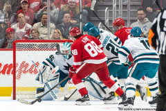 Detroit-Red-Wings-vs-San-Jose-Sharks-January-14-2025-In-Play-magazine-11