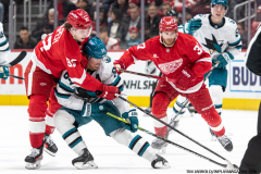 Detroit-Red-Wings-vs-San-Jose-Sharks-January-14-2025-In-Play-magazine-18