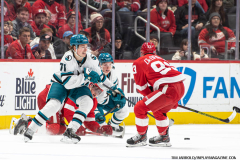 Detroit-Red-Wings-vs-San-Jose-Sharks-January-14-2025-In-Play-magazine-21