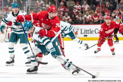 Detroit-Red-Wings-vs-San-Jose-Sharks-January-14-2025-In-Play-magazine-28