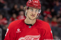 Detroit-Red-Wings-vs-San-Jose-Sharks-January-14-2025-In-Play-magazine-32
