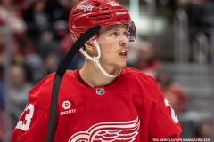 Detroit-Red-Wings-vs-San-Jose-Sharks-January-14-2025-In-Play-magazine-33