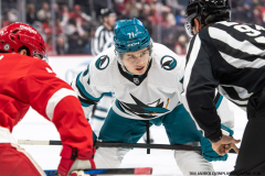 Detroit-Red-Wings-vs-San-Jose-Sharks-January-14-2025-In-Play-magazine-7