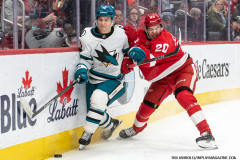 Detroit-Red-Wings-vs-San-Jose-Sharks-January-14-2025-In-Play-magazine-8