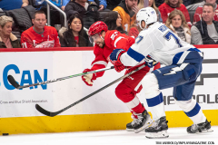 Detroit-Red-Wings-vs-Tampa-Bay-Lightning-January-21-2024-In-Play-magazine-31