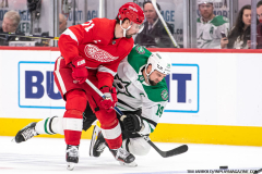 Detroit-Red-Wings-vs-Dallas-Stars-January-23-2024-In-Play-magazine-12